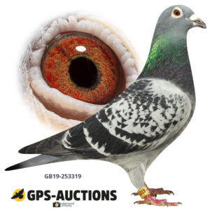 GB19Z-53319
