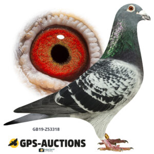 GB19Z-53318