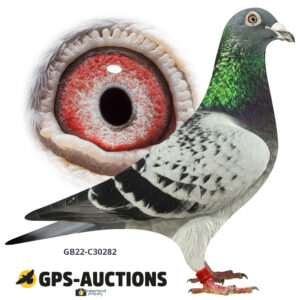 GB22C-30282