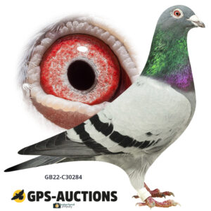 GB22C-30284