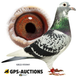 GB22V-55941