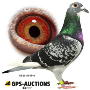 GB23A-94544