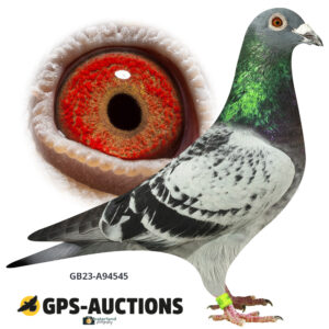 GB23A-94545