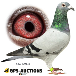 GB23A-94572