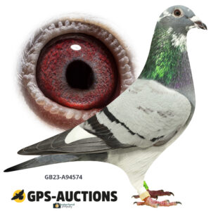 GB23A-94574