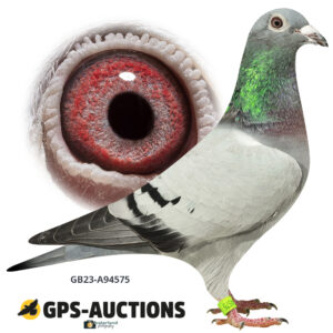 GB23A-94575