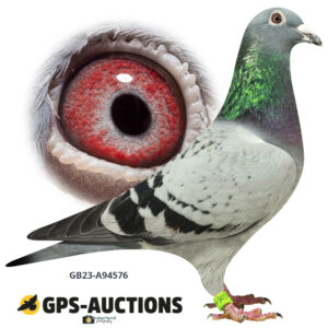 GB23A-94576