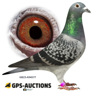 GB23A-94577