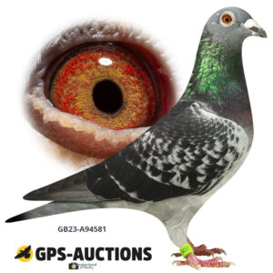 GB23A-94581