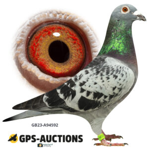 GB23A-94592