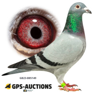 GB23B-85149