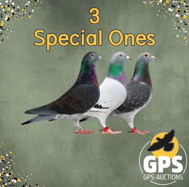 3 Special Ones
