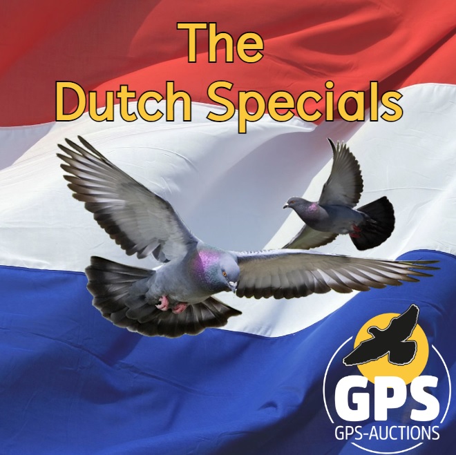 The Dutch Specials