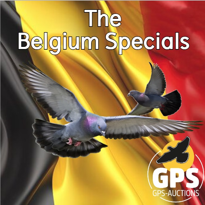 The Belgium Specials