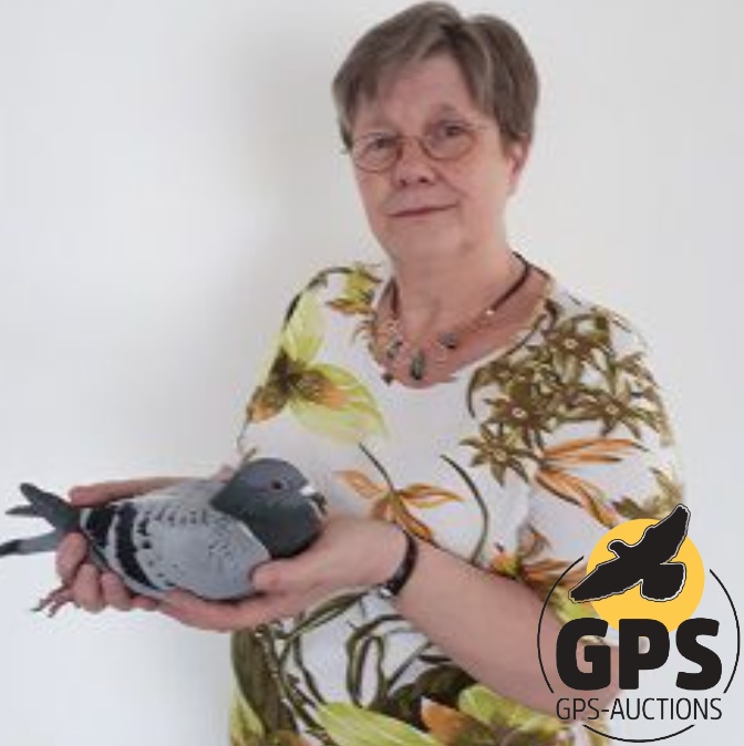 Lucie van Es Pigeons - Last Part