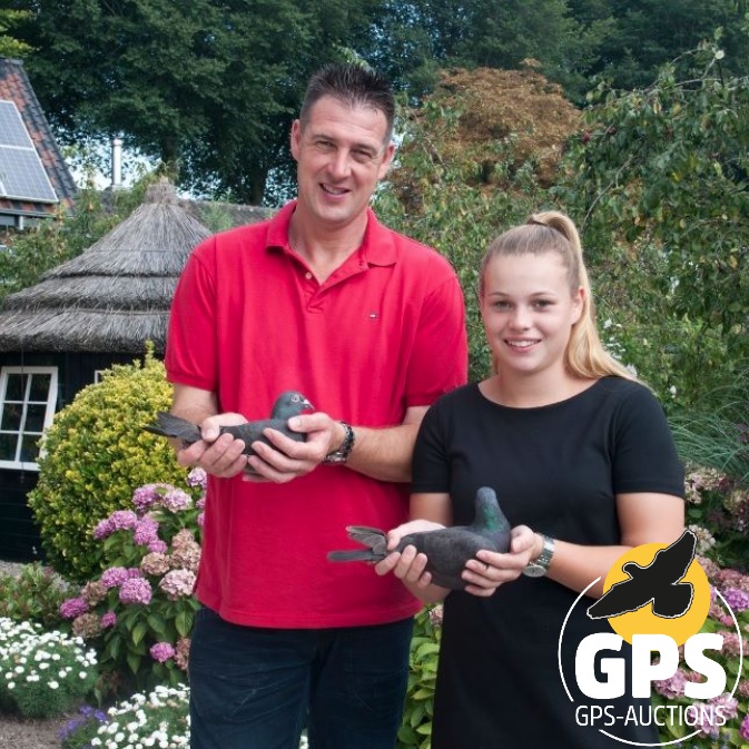 Peter v.d. Merwe Collection