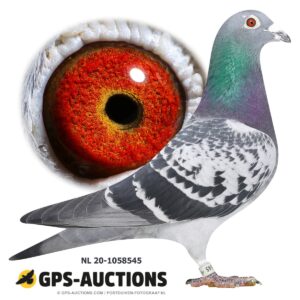 NL20-1058545