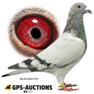 NL23-9241716