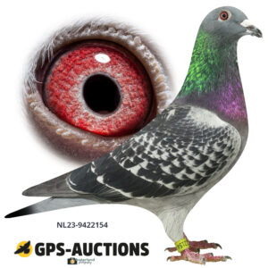 NL23-9422154