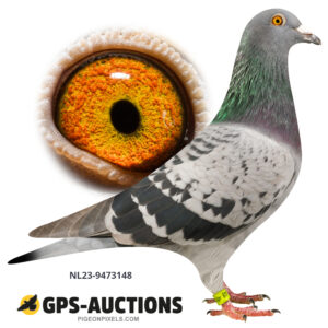 NL23-9473148