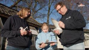 J. Doldersum & Zn, Almelo