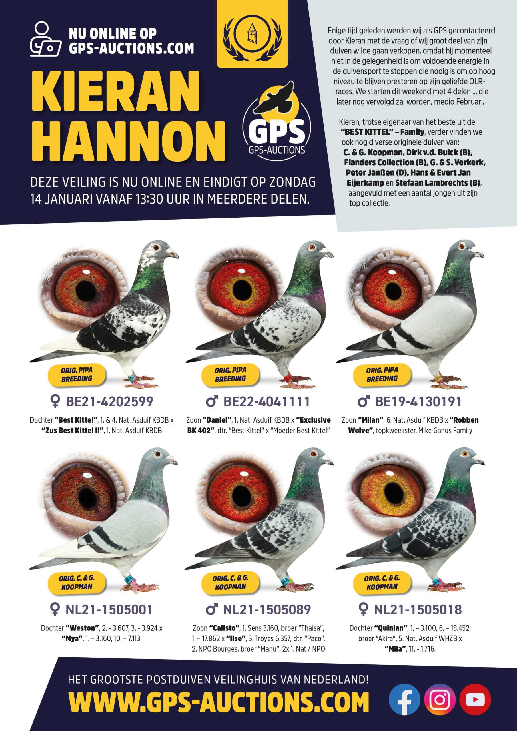 Top Auction Kieran Hannon