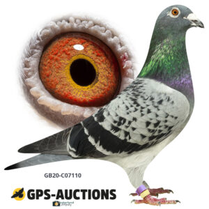 GB20C-07110