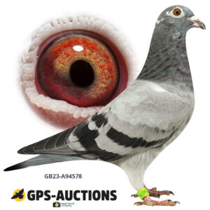 GB23A-94578