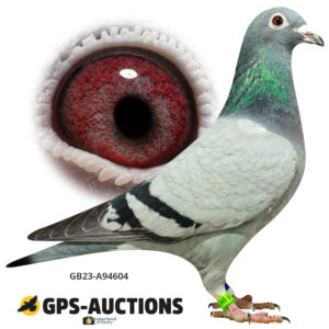 GB23-A94604
