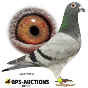 GB23A-94605