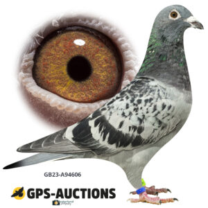 GB23A-94606