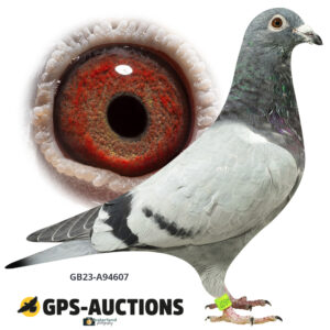GB23-A94607