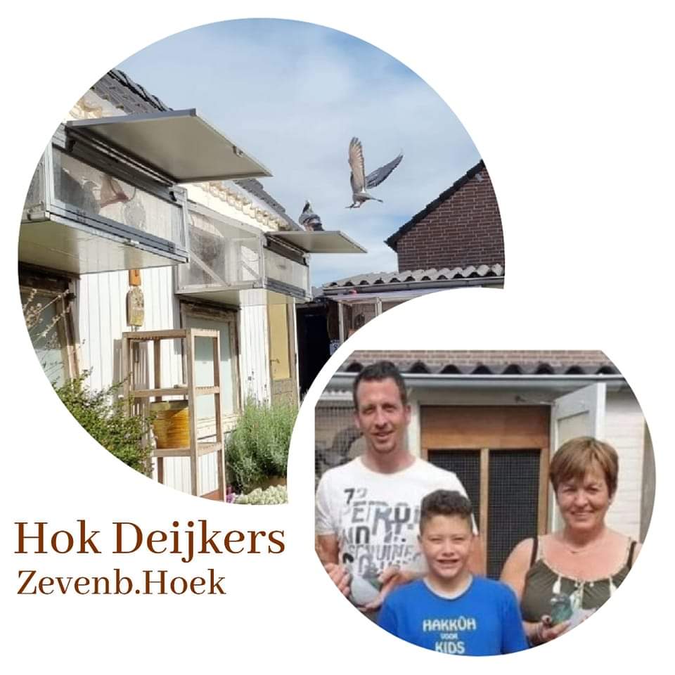 Hok Deijkers