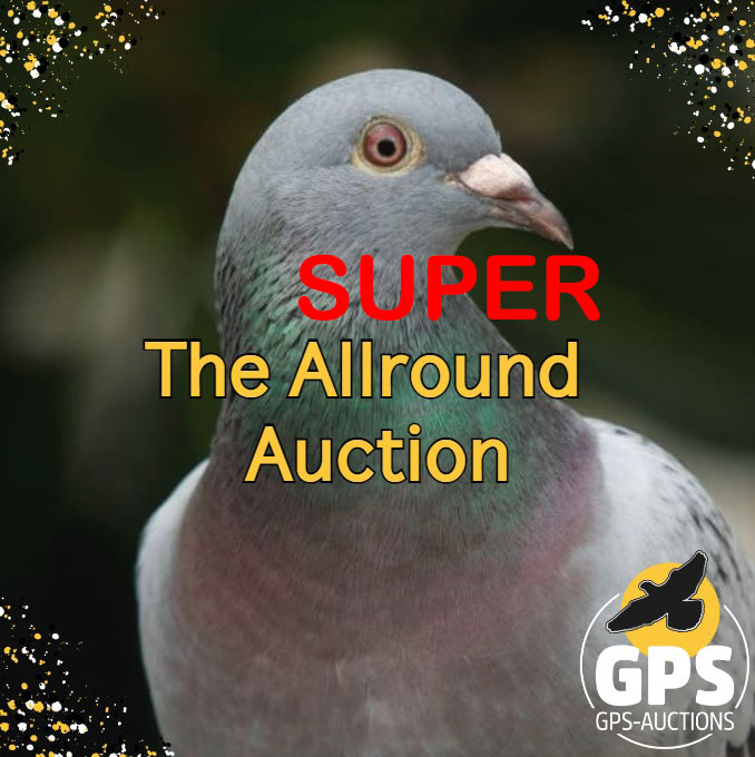 Super Allround Toppers