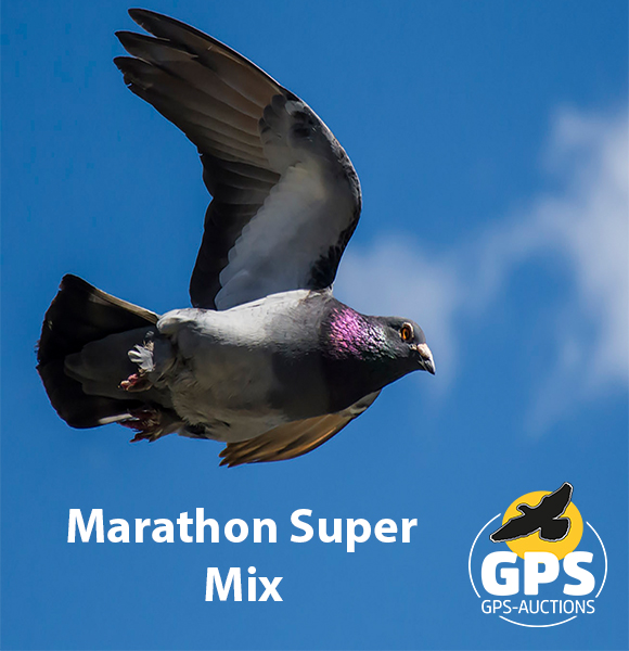 The Super Marathon Collection