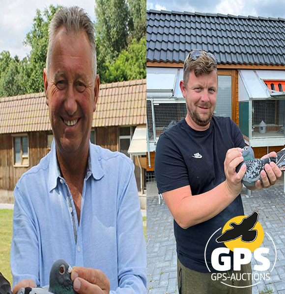 4 Gino Clicque + Bakker Pigeons