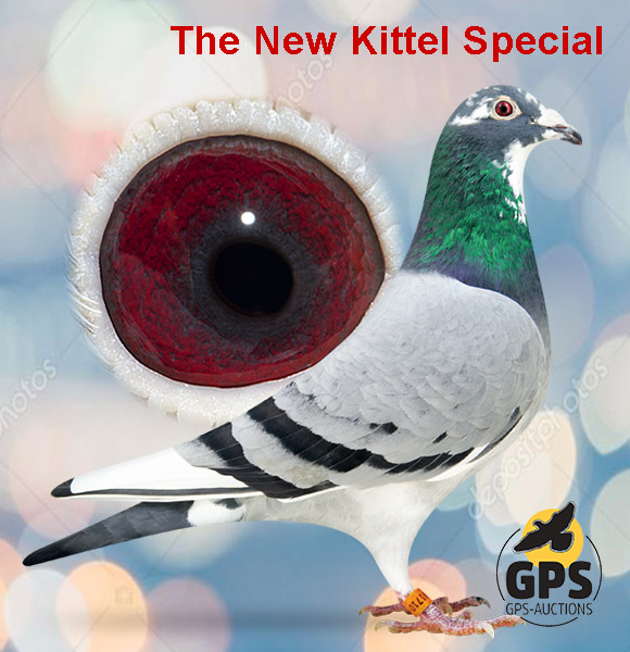 The New Kittel Special
