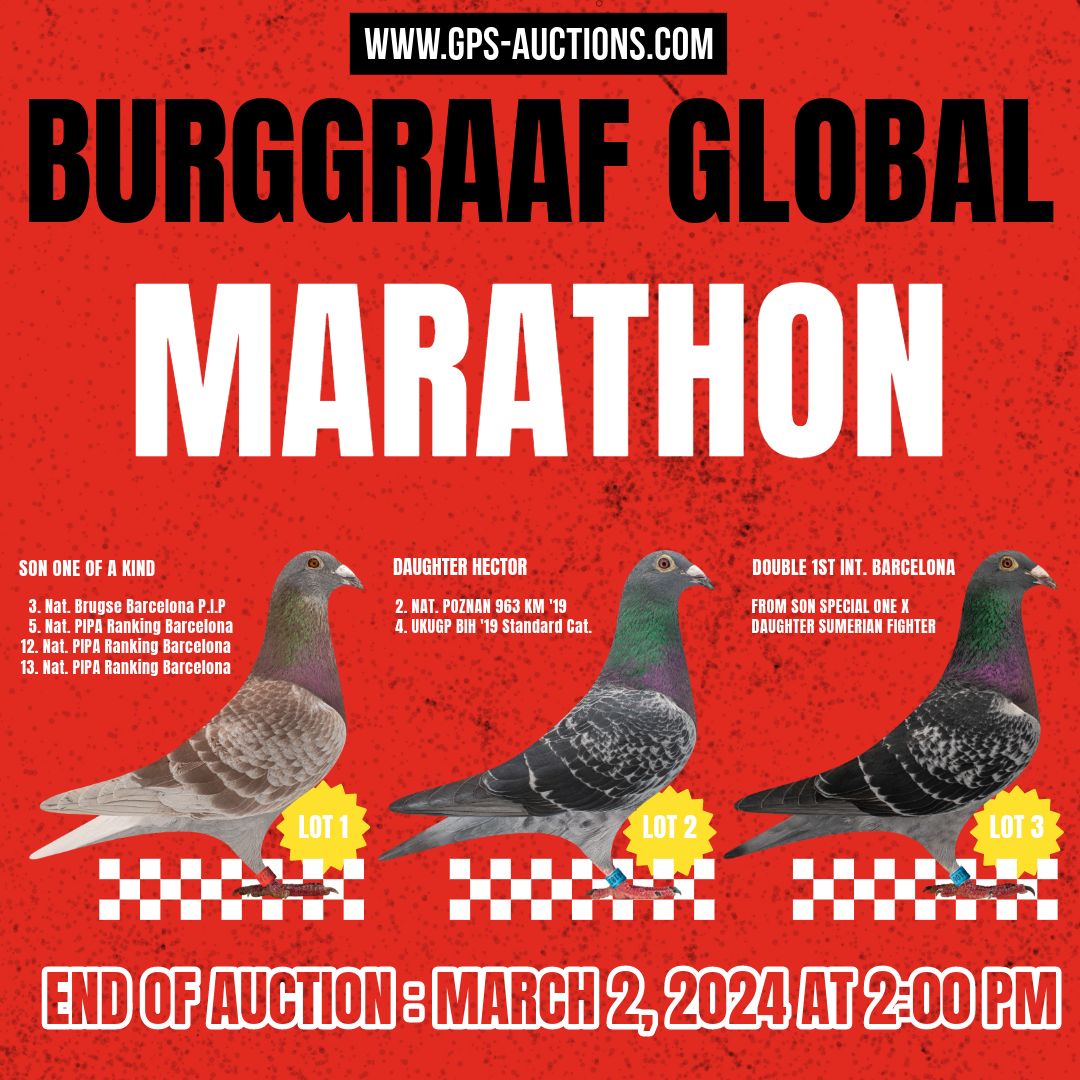 Burggraaf Global - Marathon Special