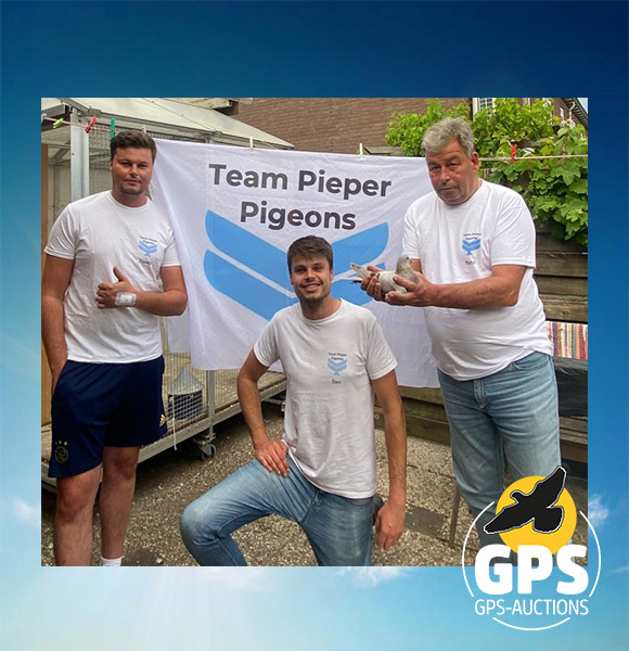 Team Pieper Pigeons
