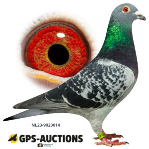 NL23-9023014
