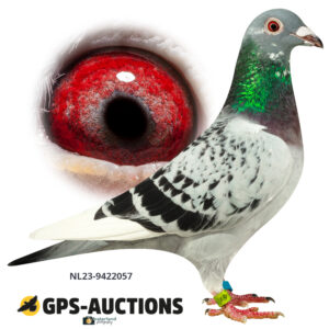 NL23-9422057