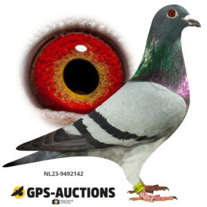 NL23-9492142