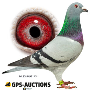 NL23-9492143
