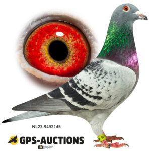 NL23-9492145