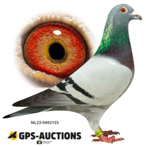 NL23-9492155