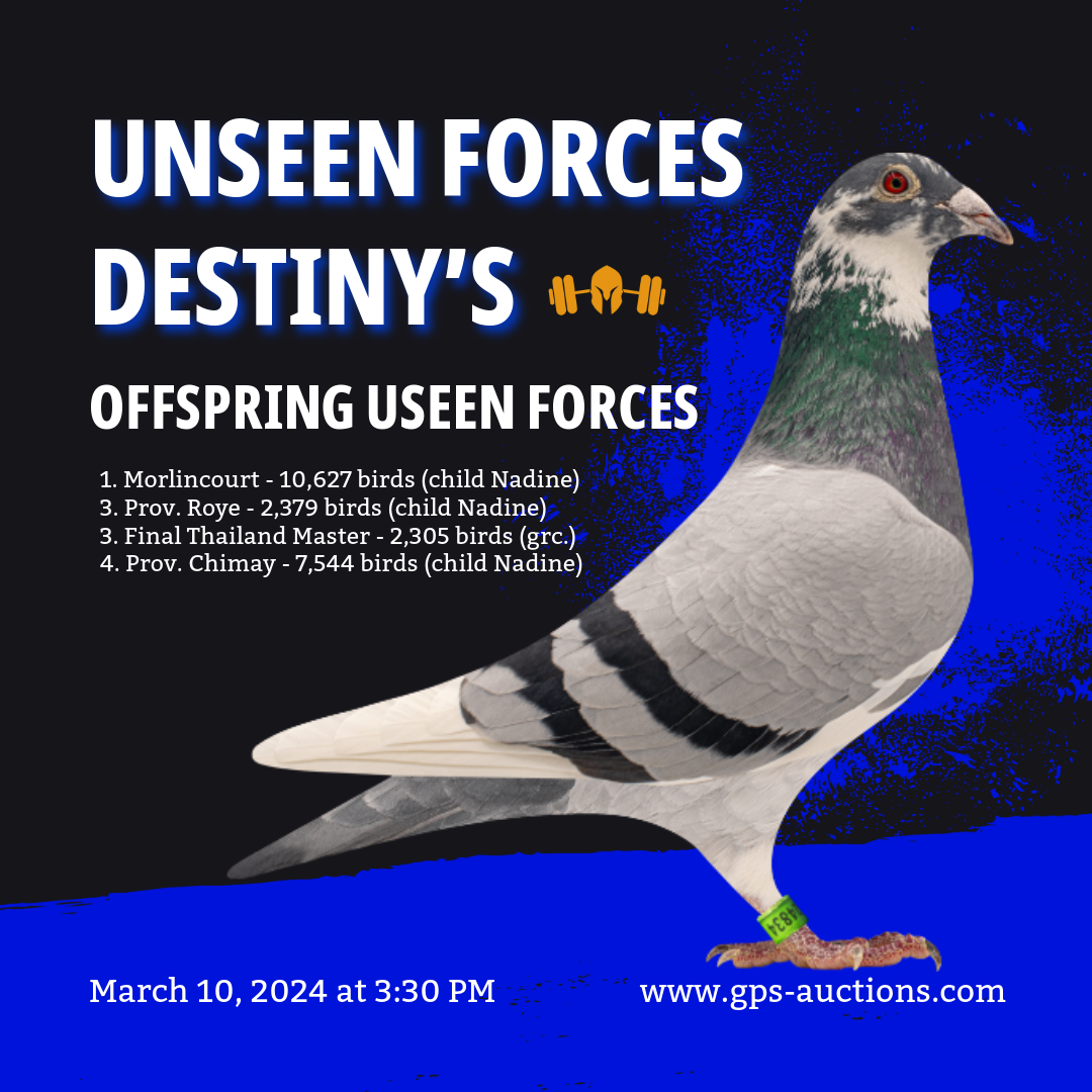 Viscount Global NEW KITTEL "Unseen Forces" GPSAuctions