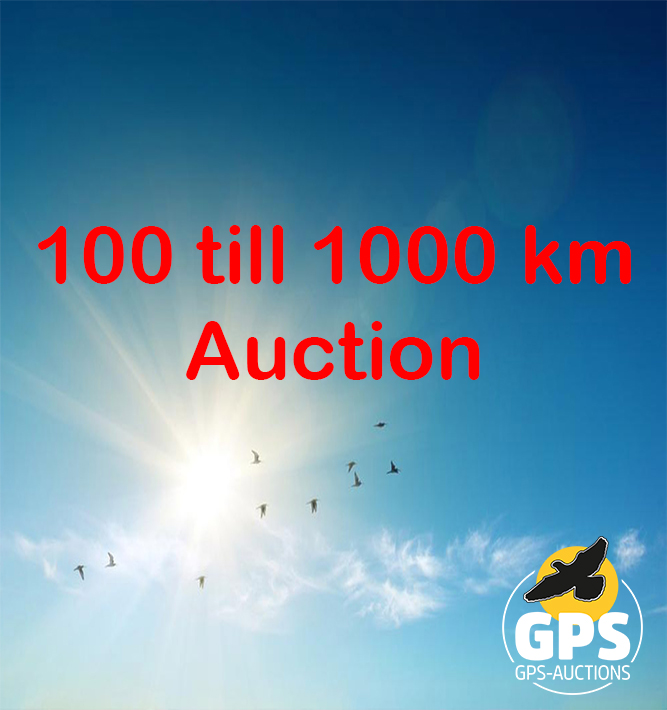 The 100 Till 1000 Km. Auction