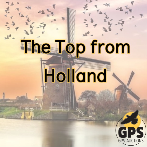 The Top From Holland