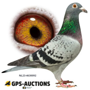 NL23-4630092