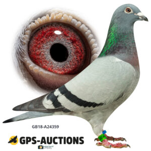 GB18A-24359